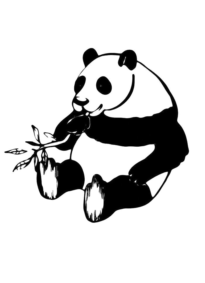 Раскраска  Панда жует ветку. Скачать Панда.  Распечатать Панда