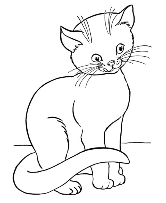 Раскраска  Кошки   для детей, кошки, домашние животные. Скачать кот.  Распечатать Домашние животные