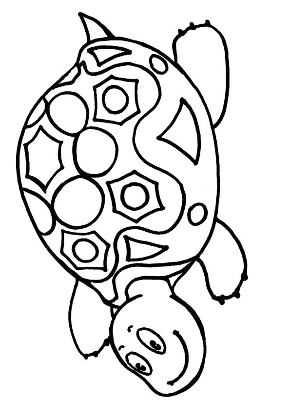 Название: Раскраска Раскраска черепаха.. Категория: Дикие животные. Теги: Черепаха.