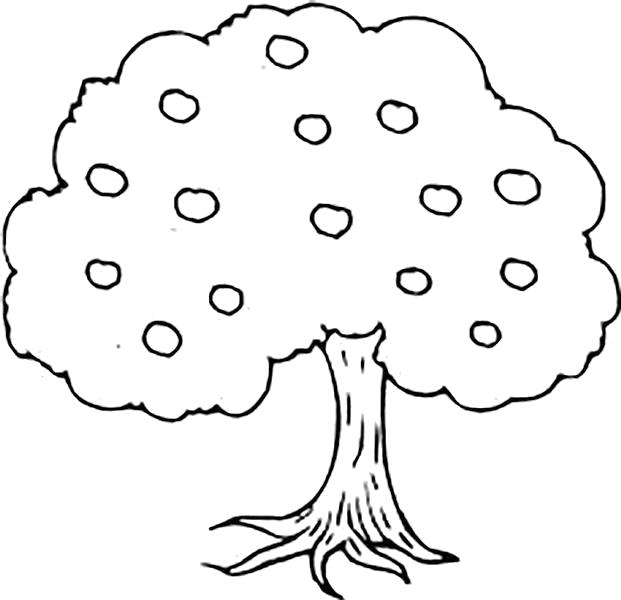 Название: Раскраска Раскраски "дерево с яблоками" . Категория: растения. Теги: дерево.