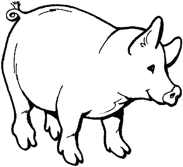 Раскраска Раскраски  свинка. Домашние животные