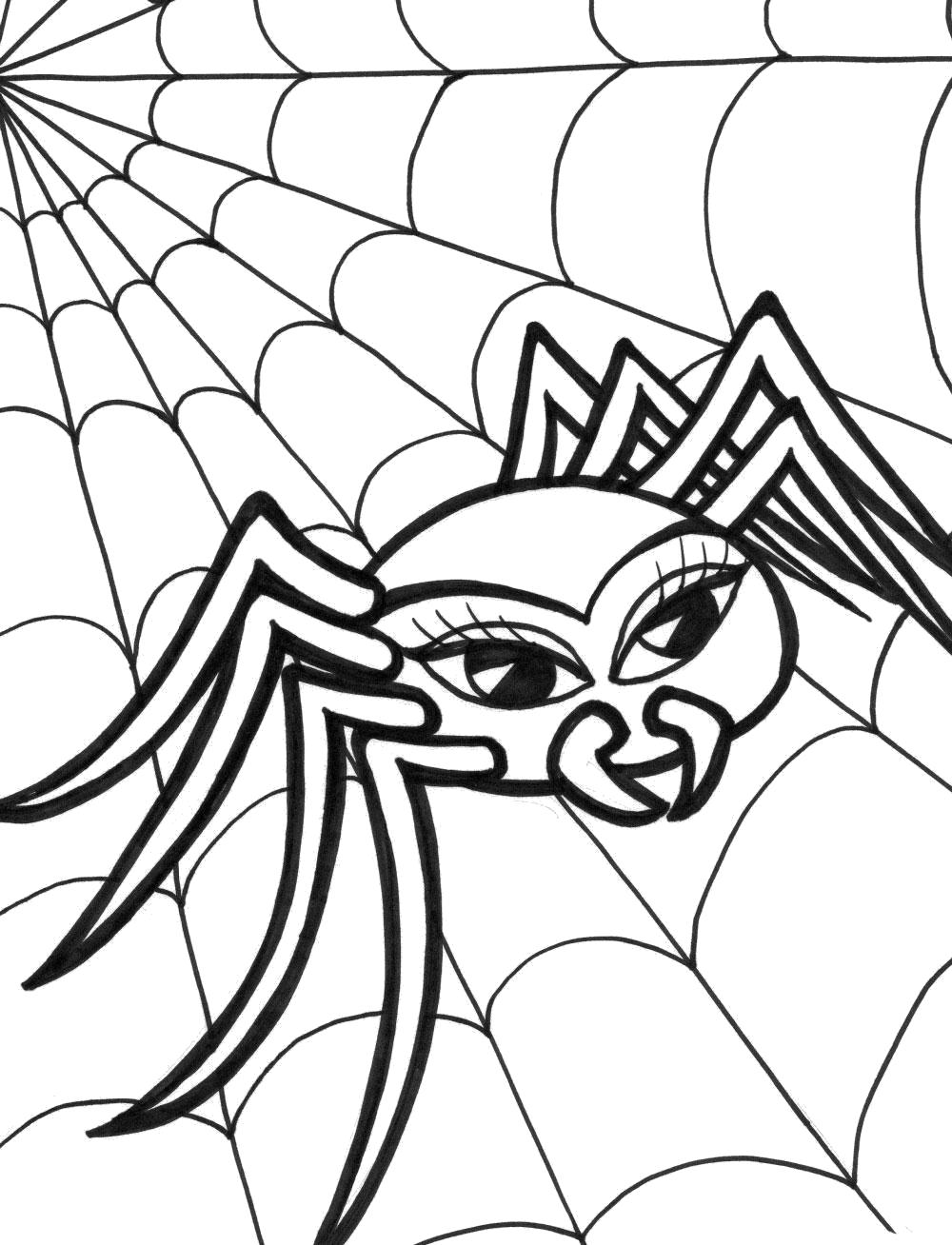 Раскраска Тату паук. Насекомые