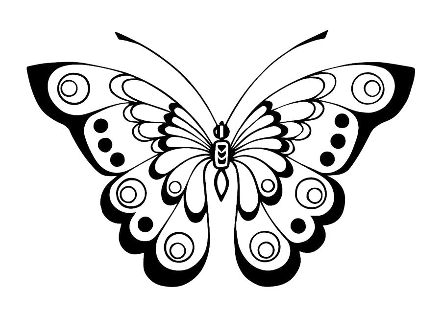 Раскраска красивая бабочка. Скачать Бабочки.  Распечатать Насекомые