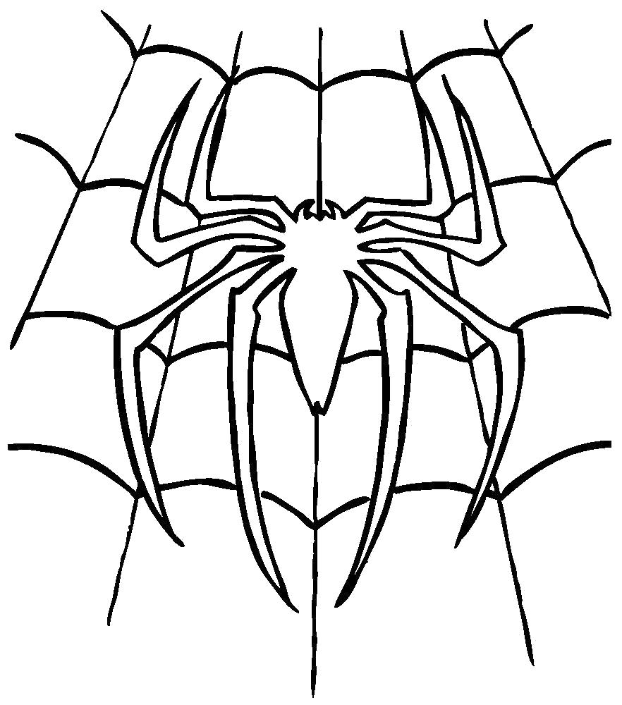 Раскраска Раскраска паук в паутине. Паук