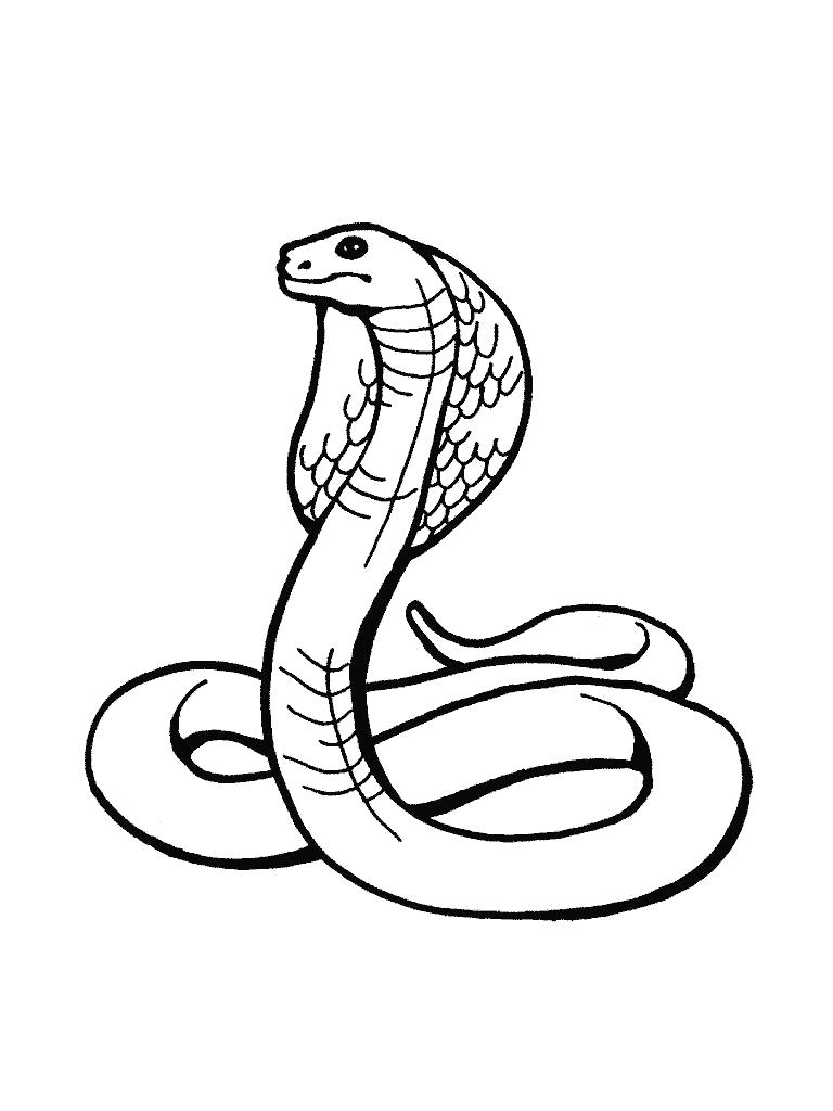 Название: Раскраска Раскраски кобра. Категория: Дикие животные. Теги: Змея.