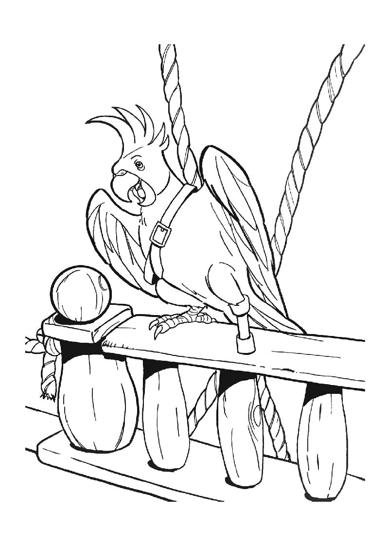 Раскраска Пиратский попугай . Пират