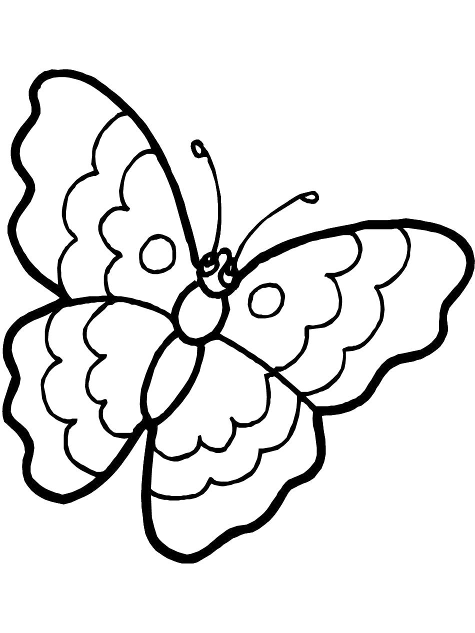 Название: Раскраска Раскраска бабочка для малышей. Категория: Бабочки. Теги: Бабочки.
