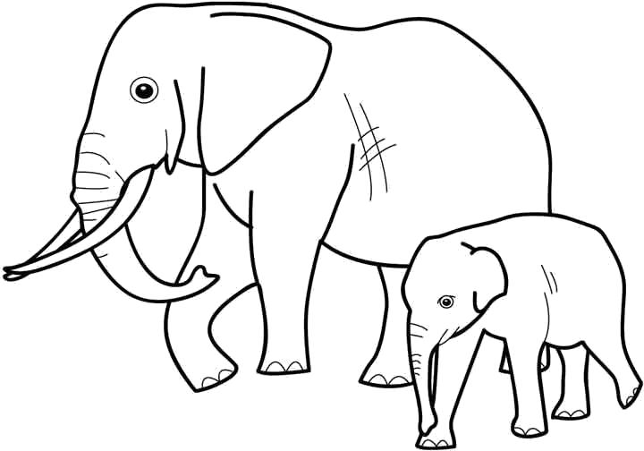 Название: Раскраска Слониха со слоненком. Категория: Дикие животные. Теги: слон.