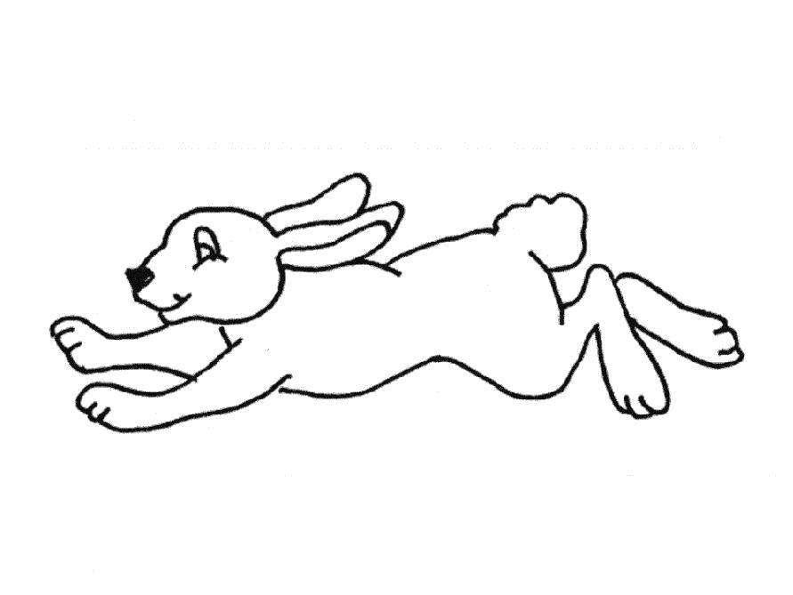 Название: Раскраска Раскраска Заяц. Категория: Домашние животные. Теги: Заяц.