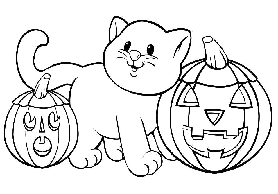 Название: Раскраска Кошка и тыквы. Категория: Домашние животные. Теги: Котенок, кошка, кот.