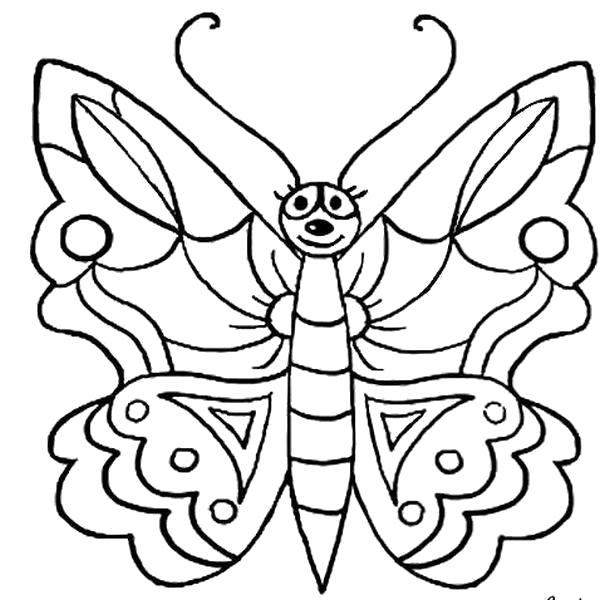 Раскраска бабочка для детей. Насекомые