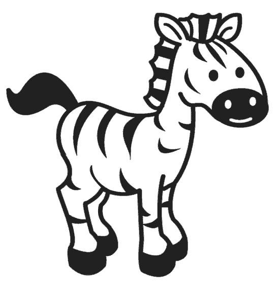 Название: Раскраска Раскраски Зебра маленькая зебра. Категория: Дикие животные. Теги: зебра.