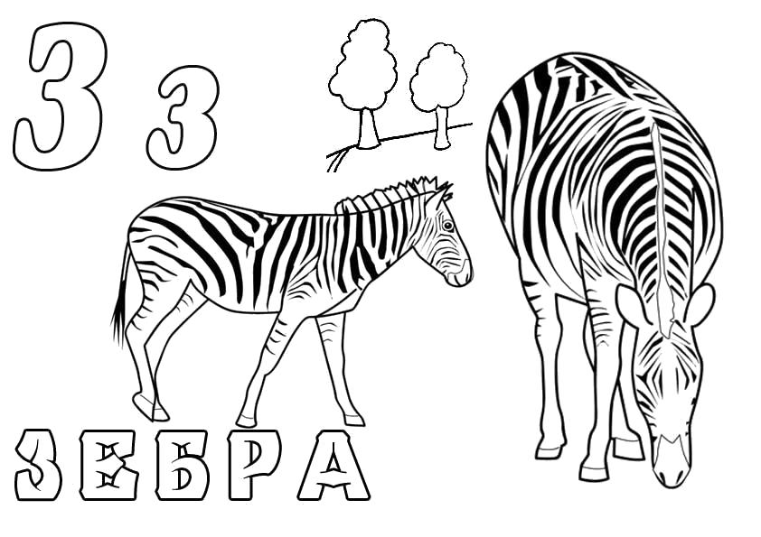 Раскраска Раскраски "Зоопарк". буквы