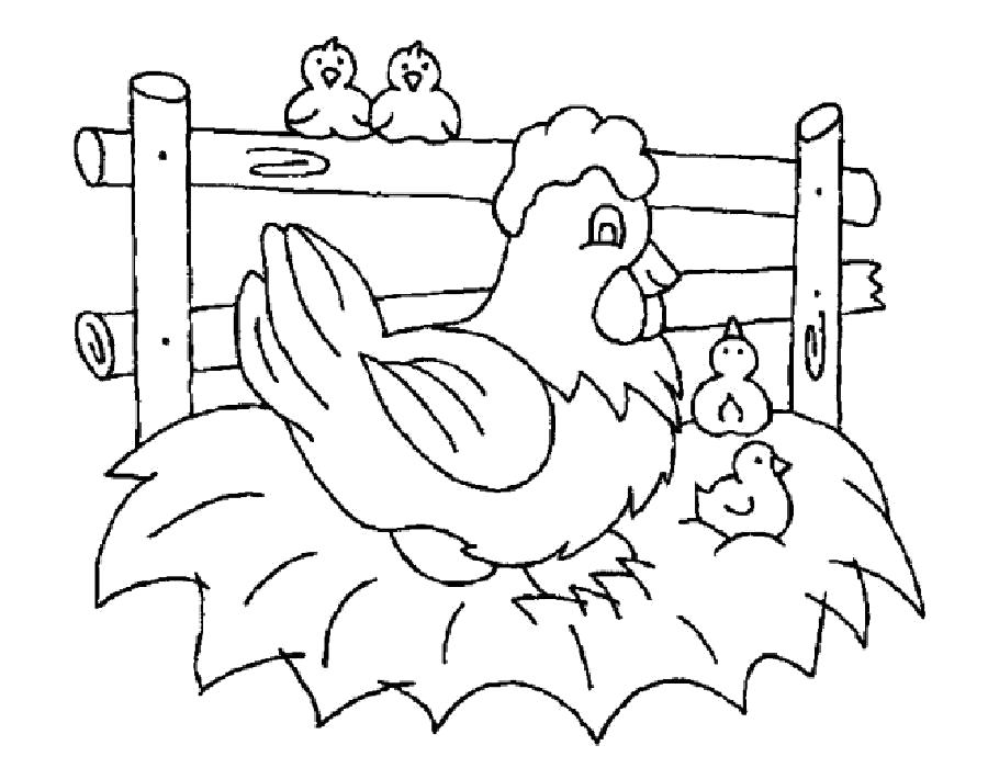 Название: Раскраска Гнездо курочки. Категория: Домашние животные. Теги: Курица, Цыплята.