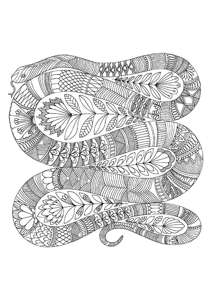 Название: Раскраска Раскраска антистресс змея. Категория: Дикие животные. Теги: Змея.