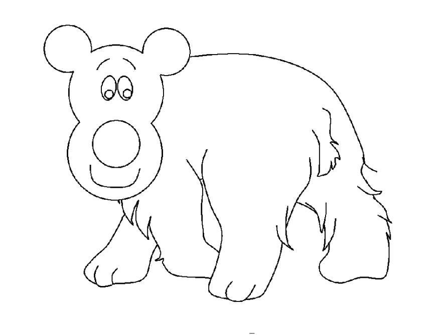 Раскраска Раскраска медведь для детей. медведь