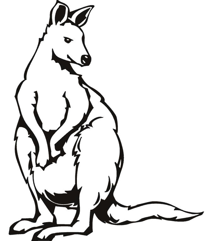 Название: Раскраска Австралийский кенгуру. Категория: кенгуру. Теги: кенгуру.