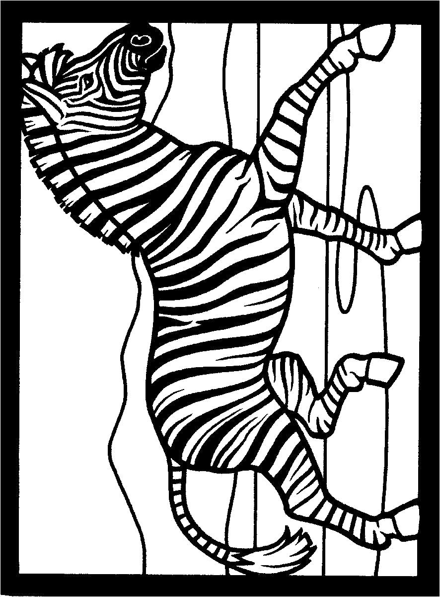 Название: Раскраска зебра. Категория: Дикие животные. Теги: зебра.