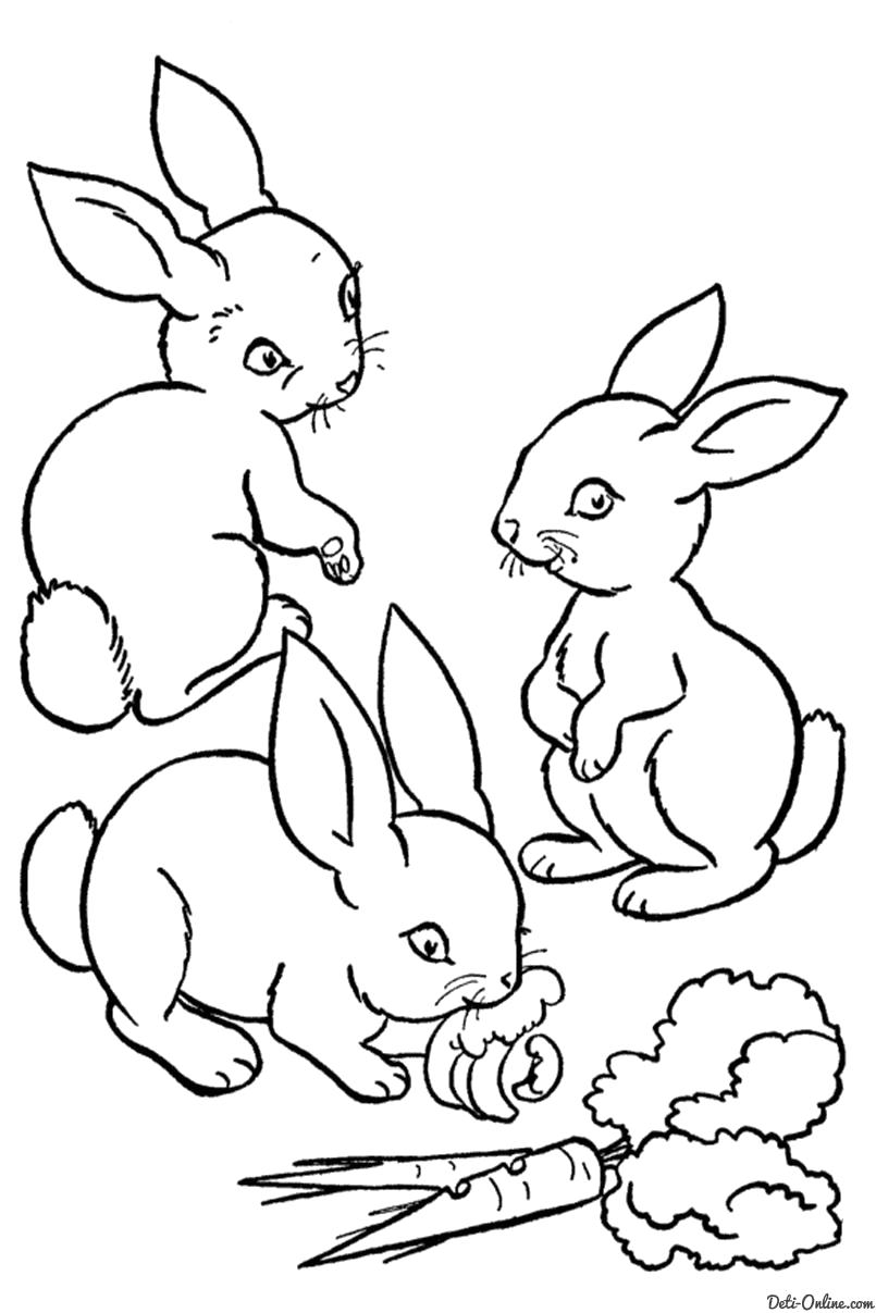 Название: Раскраска Зайчата кушают морковки. Категория: Домашние животные. Теги: Заяц.