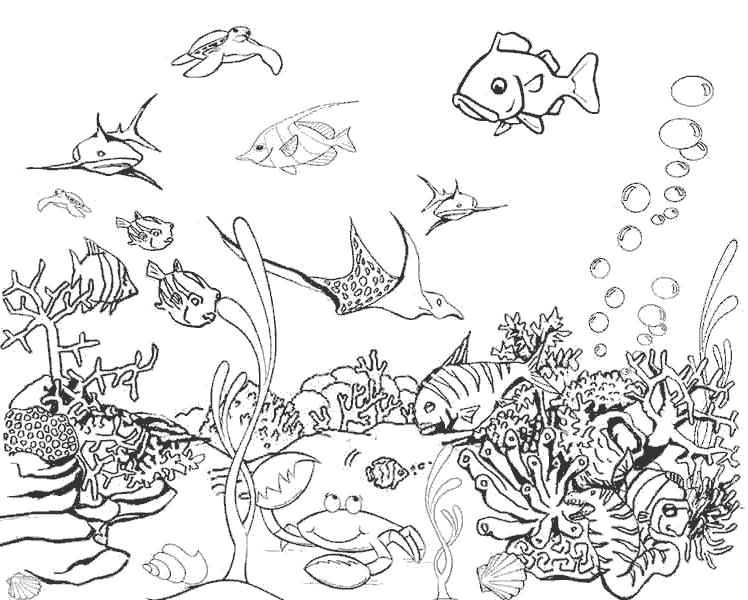 Раскраска  подводный мир подводный мир, жители океана, рыбки, рак, скат, водоросли . Скачать Рыбы.  Распечатать Морские животные