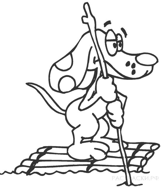 Название: Раскраска Раскраска для мальчиков Собака на плоту. Категория: Собака. Теги: Собака.