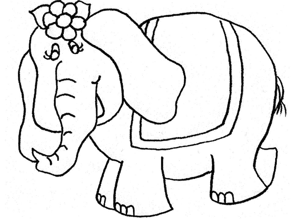 Раскраска Раскраска слониха. Дикие животные