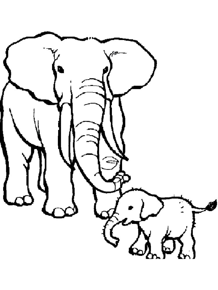 Раскраска Раскраска слон и слоненок. слон