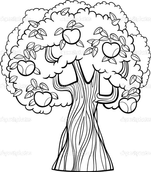 Раскраска Раскраски "дерево с яблоками" скачать и распечатать бесплатно. Контуры дервеьев
