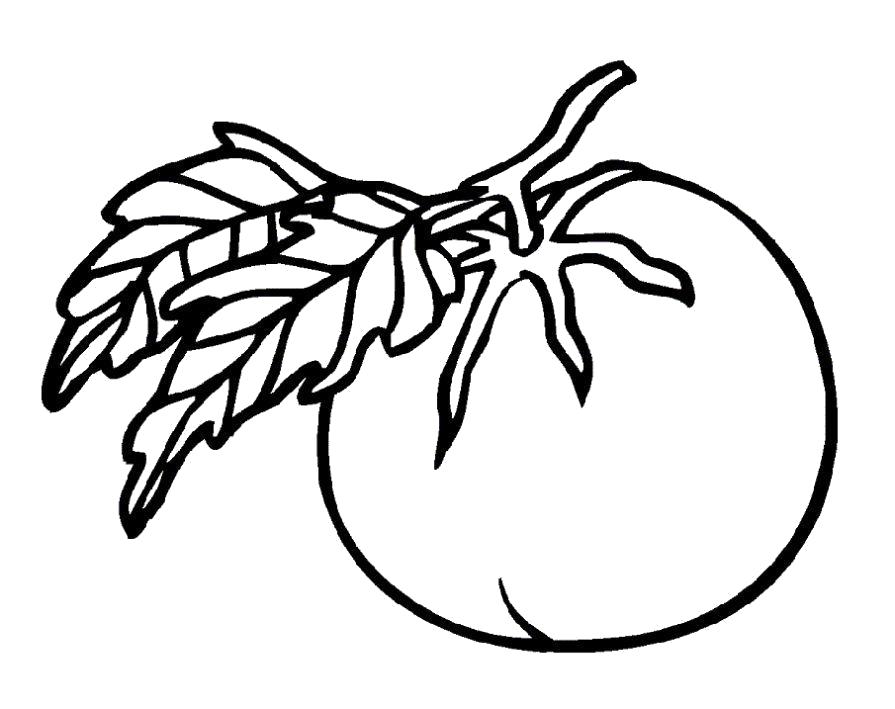 Название: Раскраска Раскраска Помидор. Категория: овощи. Теги: помидор.