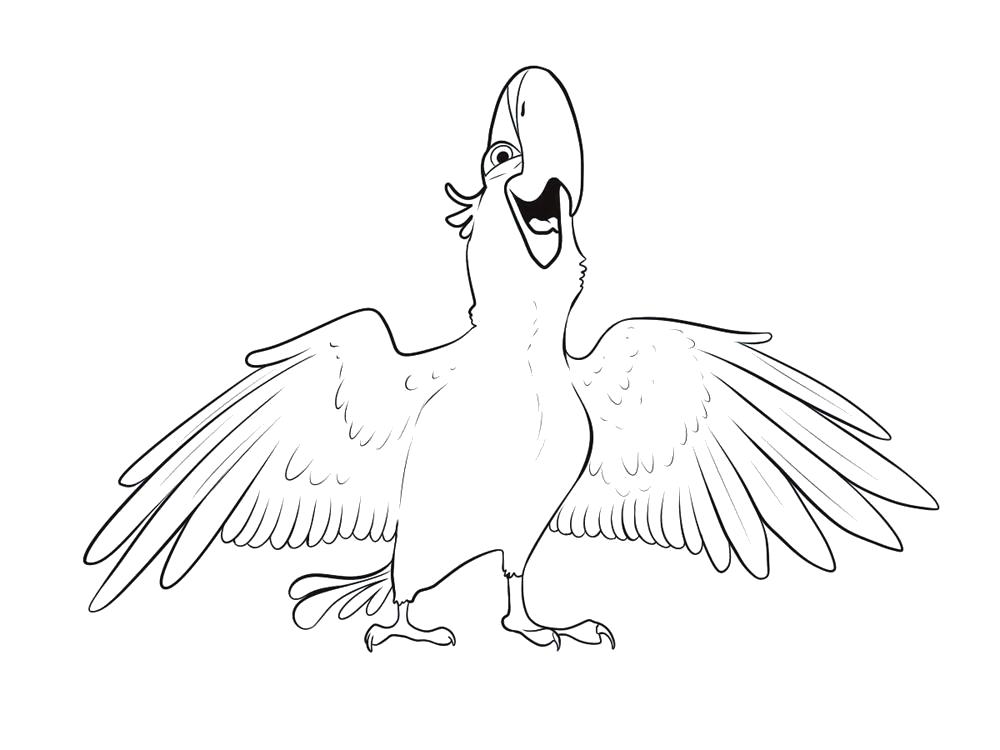 Название: Раскраска раскраски попугай с крыльями. Категория: попугай. Теги: попугай.