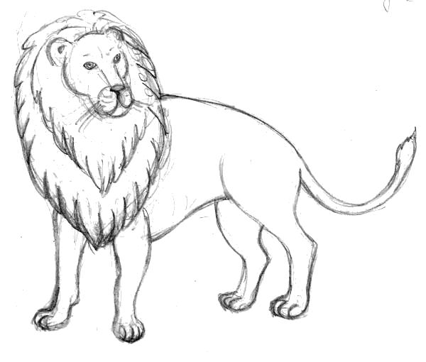 Название: Раскраска Грозная львица. Категория: Дикие животные. Теги: Лев.