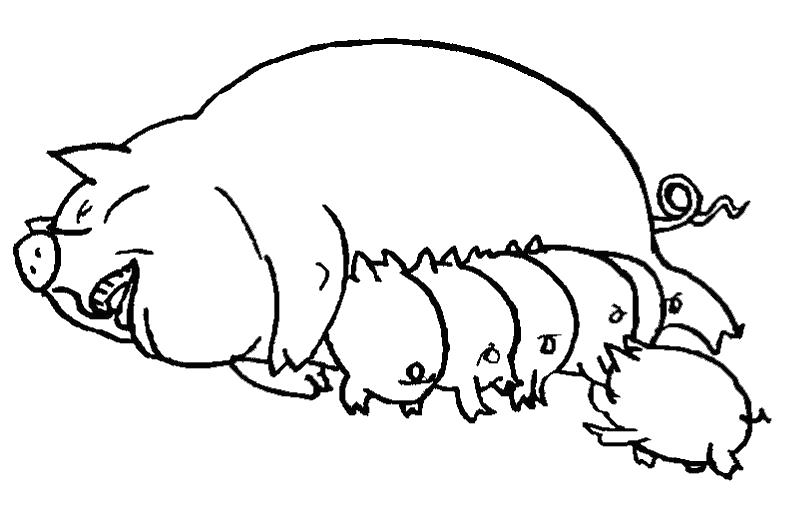 Название: Раскраска Мама с поросятами . Категория: Домашние животные. Теги: Свинья.