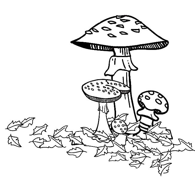 Раскраска  Осень  грибы. Скачать Осень.  Распечатать Осень