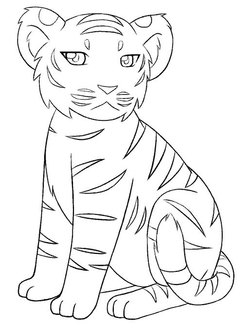 Раскраска красавец тигренок. Дикие животные