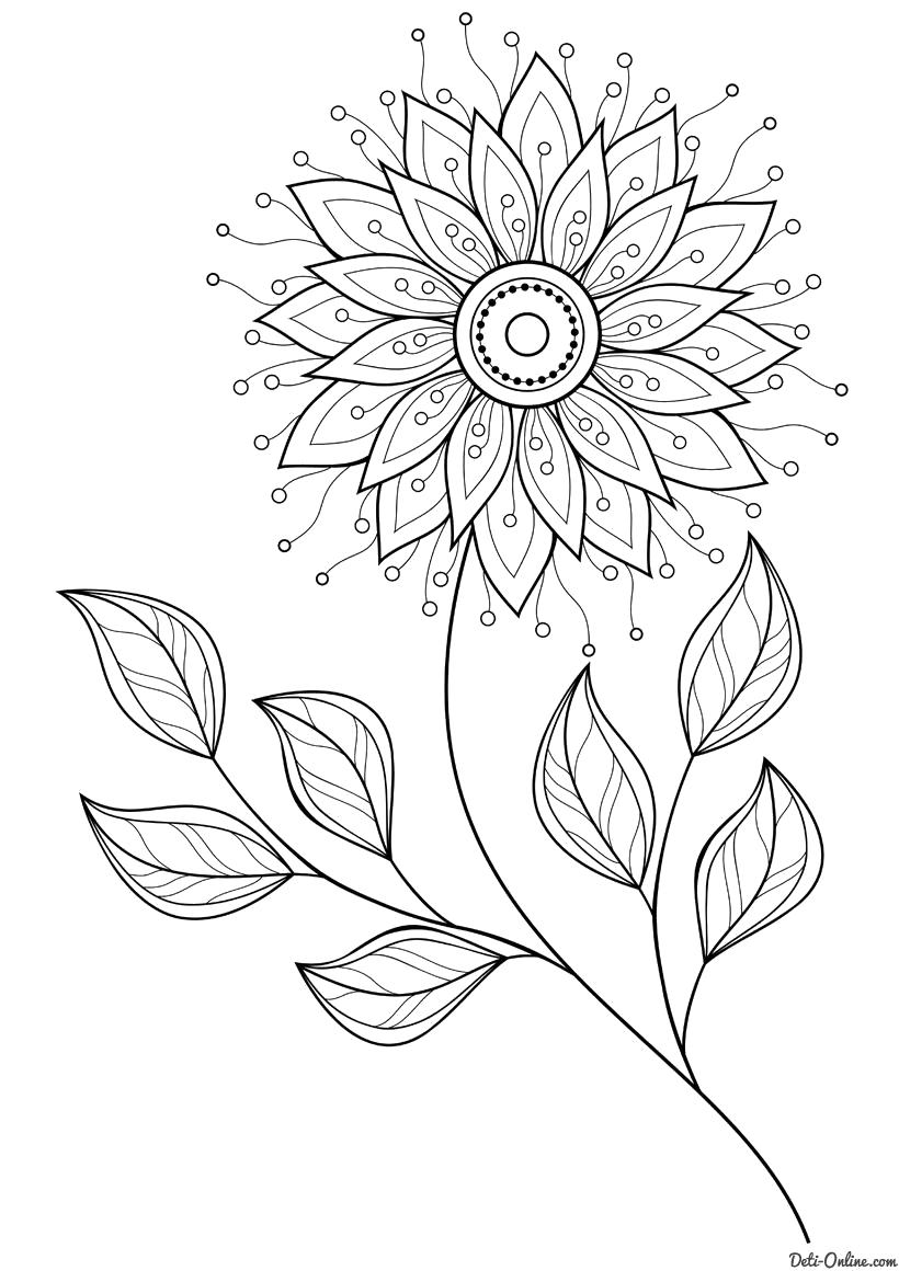 Название: Раскраска Раскраска Изящный цветок. Категория: Цветок. Теги: Цветок.