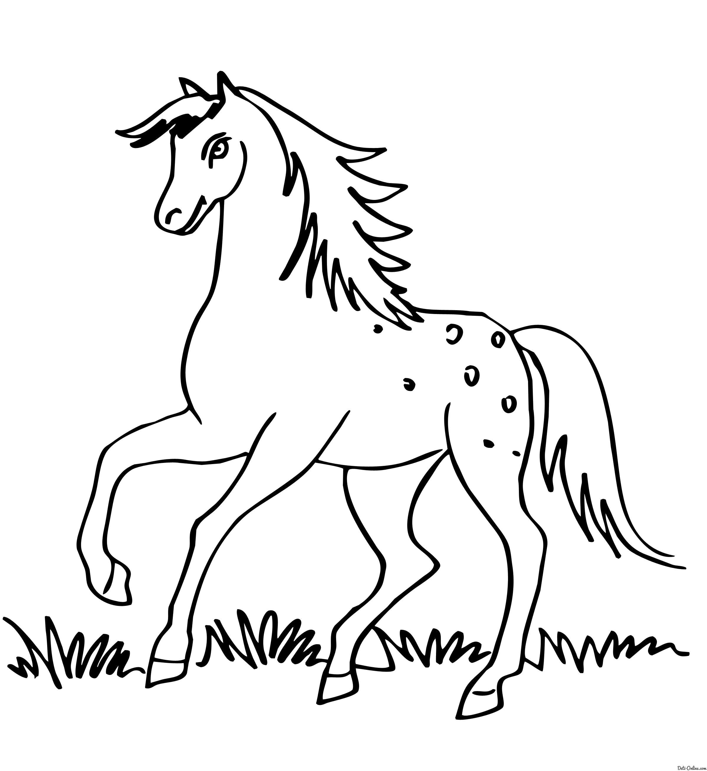 Раскраска  Лошадь скачет по траве. Домашние животные