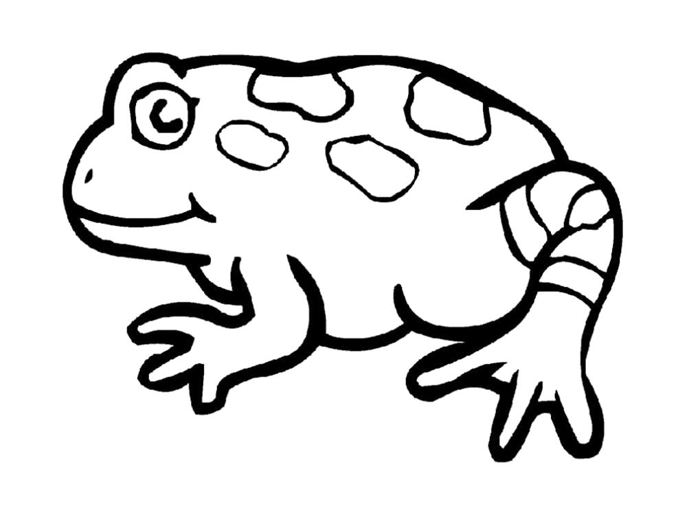 Название: Раскраска Раскраска лягушка. Категория: лягушка. Теги: лягушка.