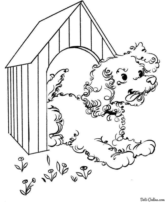 Название: Раскраска Раскраска Собака выглядывает из будки. Категория: Собака. Теги: Собака.