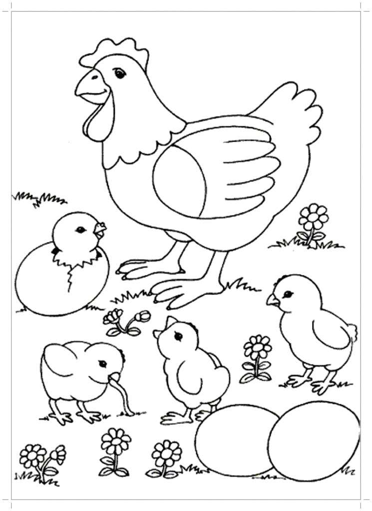 Раскраска курица с цыплятами. Скачать Курица, Цыплята.  Распечатать Домашние животные