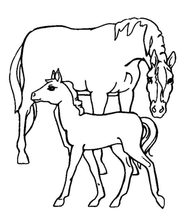 Название: Раскраска Мама и малыш. Категория: Лошади. Теги: Лошади.
