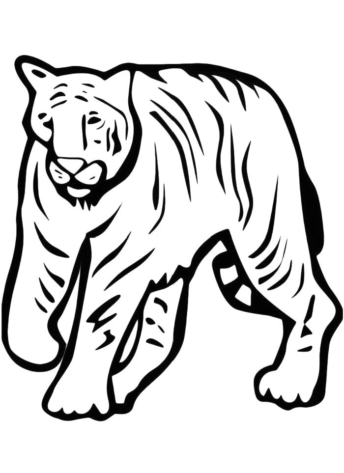Раскраска Раскраска Грустный тигр. Дикие животные