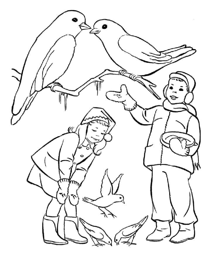Раскраски «Зимующие птицы» для детского сада с названиями