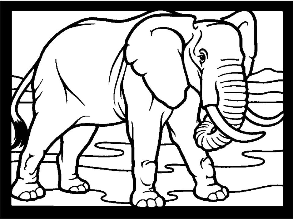 Раскраска  Слон в черной рамке. Скачать слон.  Распечатать Дикие животные