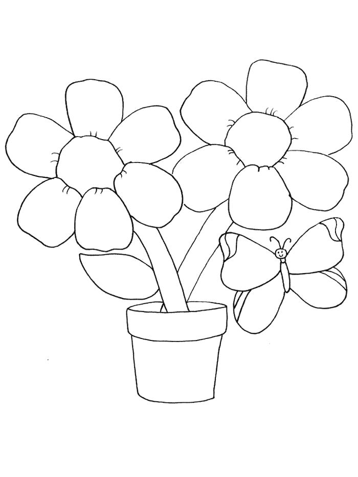 Название: Раскраска Раскраски для маленьких детей - цветы.. Категория: растения. Теги: комнатные растения.