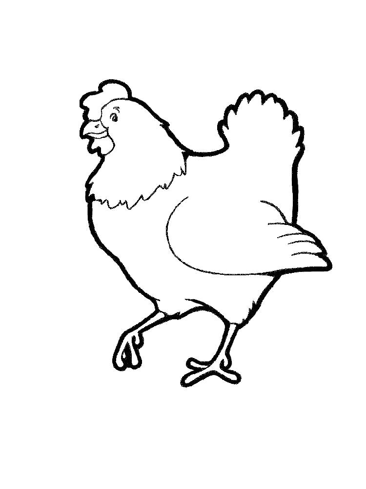 Название: Раскраска Раскраска курица. Категория: Домашние животные. Теги: Курица.