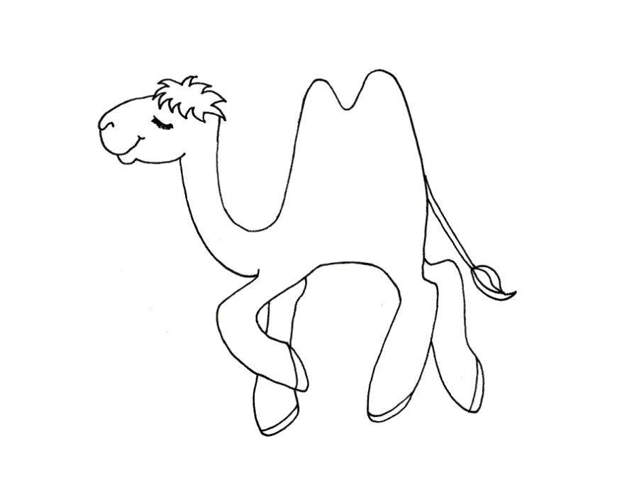 Раскраска двухгорбый верблюд. Верблюд