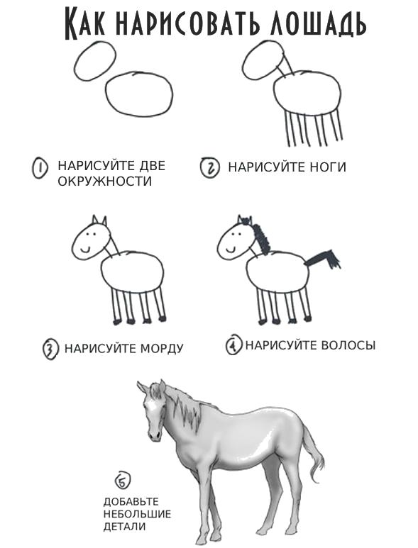 Раскраска Как нарисовать лошадь. Скачать как нарисовать.  Распечатать Учимся рисовать
