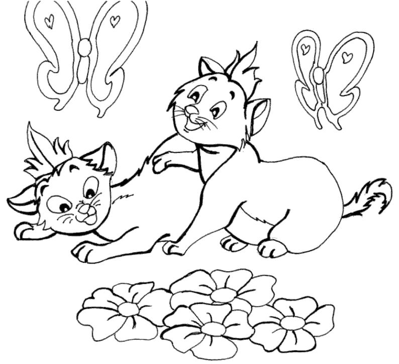 Раскраска коты среди цветов и бабочек. Скачать .  Распечатать 