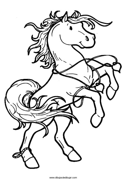 Раскраска  Лошади лошади, лошадка,  для детей. Скачать Лошадка.  Распечатать Лошадка