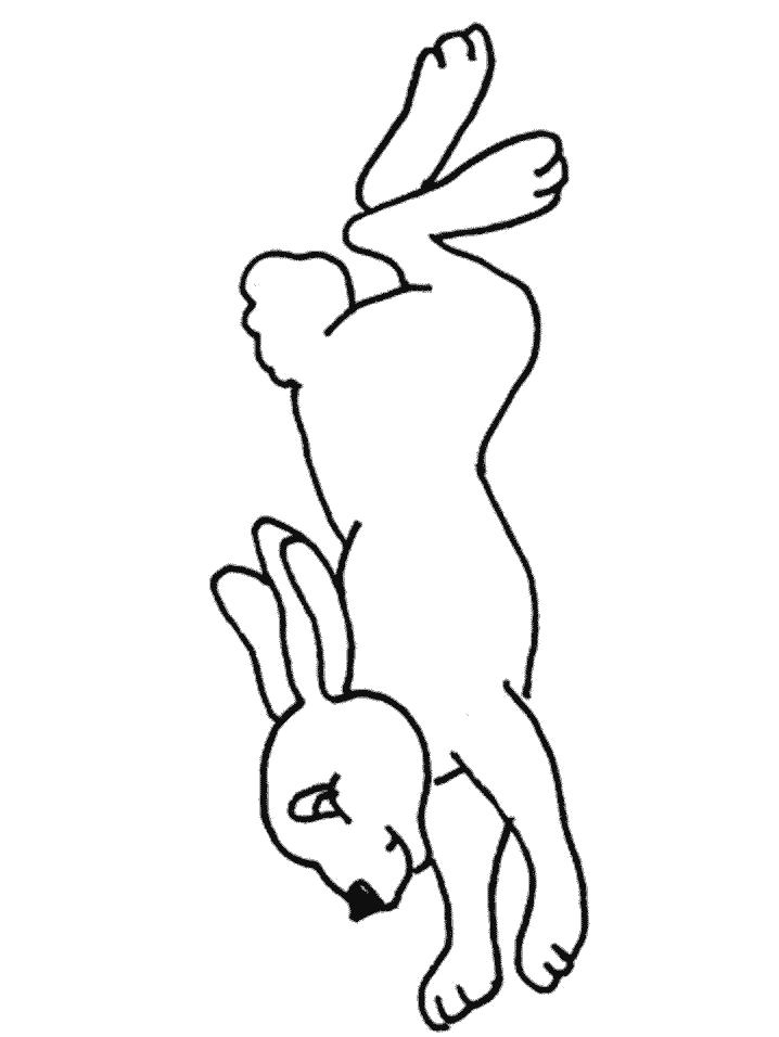Название: Раскраска  Бегущий кролик. Категория: Домашние животные. Теги: Заяц.